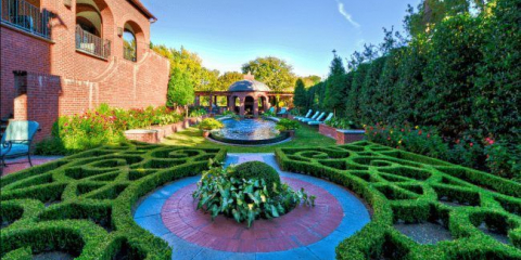 Rychle rostoucí živá elevace: kombinace a krajinné skladby to dělají sami